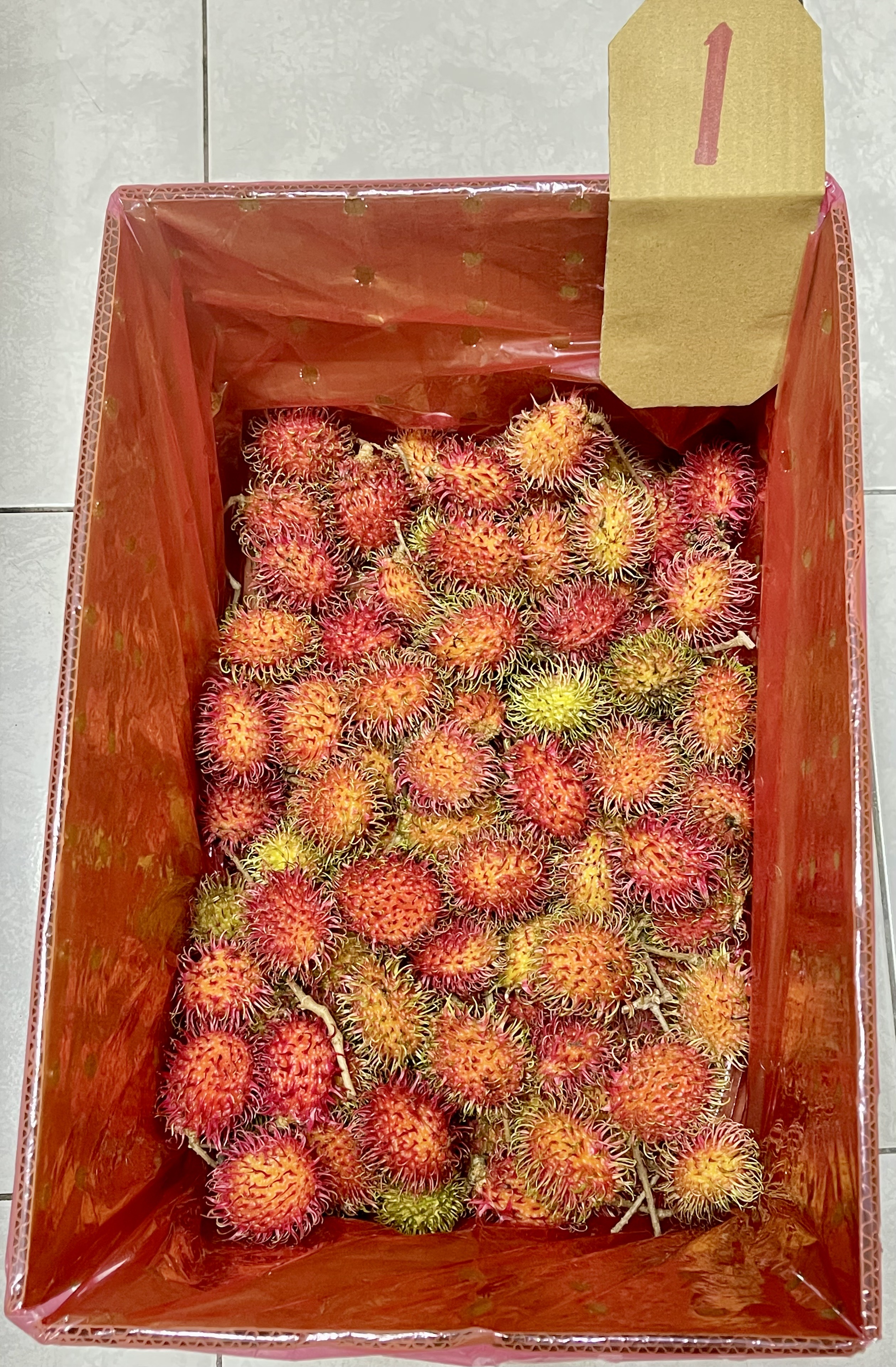 紅毛丹